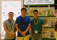 Gavin of Great Wall (right) with Zhang Yuxing and co., developing pears in Hebei, China.