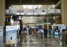 At the Dubai World Trade Centre, WOP 2016. The WTC is known for hosting world class events from different industries such agriculture, food, automobile, etc.