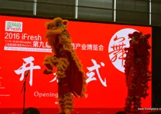 Dragons at the opening ceremony on Monday November 14th in Shanghai.