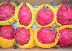 Dragon fruit grown by Shanghai Jue Yue Fruit Industry Co