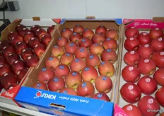 Serbian grown Kiku apples.