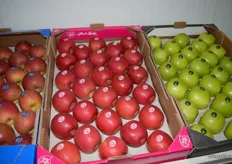 Delta Agrar is the only producer in Serbia licensed to produce Pink Lady apples.