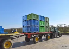 Tractor transporting apple crates.