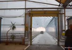 A view of the inside of the greenhouse.