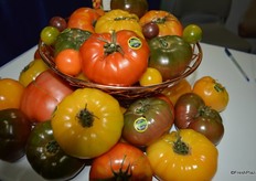 Southern Specialties display of hydroponically grown heirloom tomatoes from Guatemala.