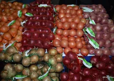 Global Bloom offers tube onions: available in one color as well as mixed color. They come in 3 ct. and 4 ct.