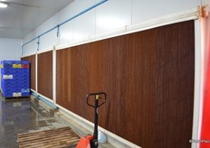 The wet wall: air is drawn through this water cooled wall to chill the grapes.