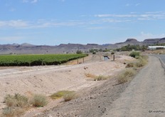 After mile and miles of desert there is green!