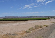 Aussenkehr is a real oasis, grape plantations as far as you can see.