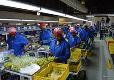 This smaller of Capespan's two packhouses.