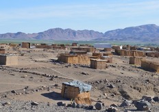 Houses are made from reeds which they gather from the river banks.