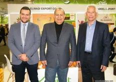 The men of El Wadi: Mohamed Elbialy, Elmoghazi Sahni and Mostafa Ads; Citrus is the main product of El Wadi, other products include onions, garlics, potatoes and many more.
