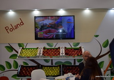 A view of the apples on display at the E.C.O. Grupa stand.