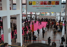 The first visitors are arriving.