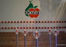 Nice display of Jazz apples.