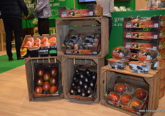 Mangoes and avocados from Halls.