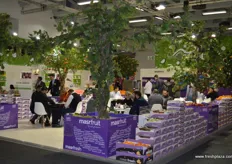 Beautiful and very busy stand from Masr Fruit.