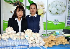 Nancy and Lily of Jining Fuyuan Fruits & Vegetables.