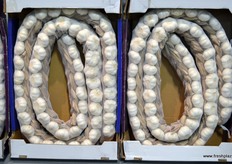 Garlic by Jining Tianshan.