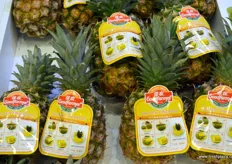 Selection of Goodfarmer's import pineapples.