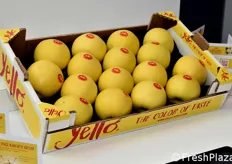 Yello – The Color of Taste from VI.P / VOG.