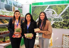 The ladies of Coprisa Agroexport, mainly exports snow peas, sugar peas and French beans to for example USA, Canada and Japan. As well as some countries in Europe like Spain, France, The Netherlands and England.