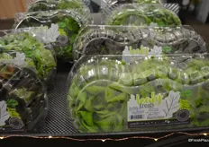 Pure Flavor offers six different lettuce varieties. This is the first year the product is available in clamshells. In the past, the lettuce came in a sleeve.