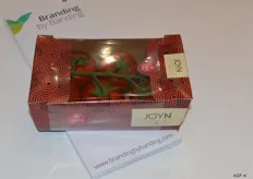 Tomatoes ‘JOYN” from Looije Kwekers in a cardboard punnet provided with transparent revenue band by Bandall. The revenue band ensures the product stays in the punnet, and therefore functions as a lid. The entire product has a sleek appearance and shows the packaged product. With this application you need less packaging material, which costs less and is environmentally friendlier.
