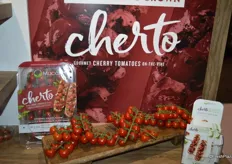 Cherto: cherry tomato on the vine