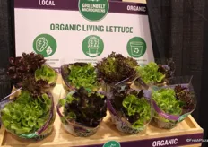 Organic Living Lettuce display of Greenbelt Microgreens