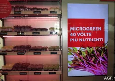 Micro-vegetables.