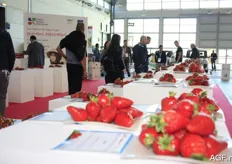 This year’s theme of the Macfrut was strawberries. Many different varieties could be admired and tasted, and they drew