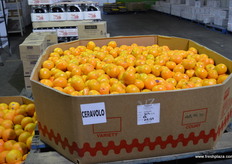 and then some madarines