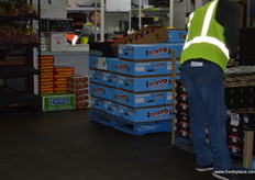 The brand new Bravo apple was on sale, this is the first season of commercial volumes, they are only available in Australia.