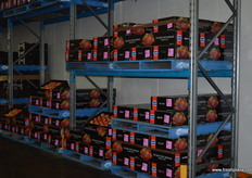 Fresh new season Kanzi apples.