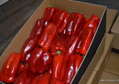 Very large red peppers on sale.