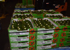 The avocado, still the hottest thing on the market.