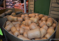 Butternur squash from Jammal Bros.