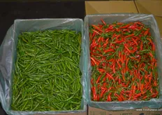 some nice chillies.