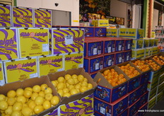 Lots of Aussie citrus fresh from the tree.