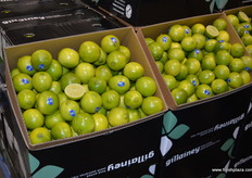 Limes looking a bit less green.