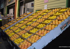 Great citrus display at Bache Bros!