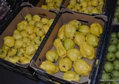 Quinces also at Fisell's.