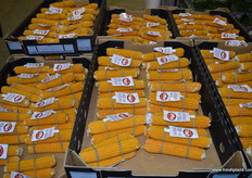 Popcorn on the cob! Just put it in the microwave and watch it pop!