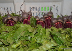 Beet root is also becoming a popular item for its health qualities.