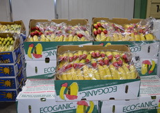 Organic bananas dipped in red wax.