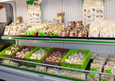 A nice display of every kind of mushroom you can think of at SA Mushrooms.