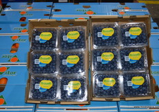 Driscoll's blueberries at the Costa shed.