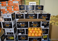 Orchard Breeze oranges packed by MFC in Mildura.