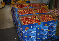 New season Jazz in the new branded cartons.